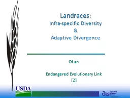 1 Landraces :  Infra-specific Diversity