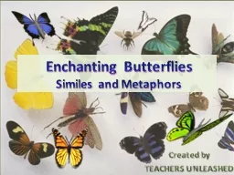 Enchanting Butterflies Similes and Metaphors