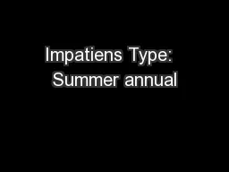 Impatiens Type:  Summer annual