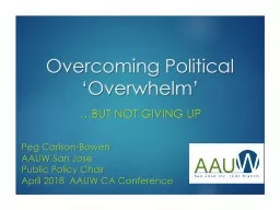 Overcoming Political  ‘Overwhelm’