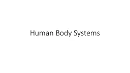 Human Body Systems Nervous System