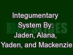 Integumentary System By: Jaden, Alana, Yaden, and Mackenzie