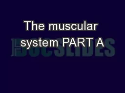 The muscular system PART A
