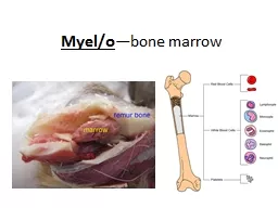 Myel /o —bone marrow Hemo