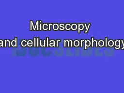 Microscopy and cellular morphology