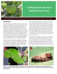 Codling Moth and Your Backyard Fruit Tree WASHINGTON S