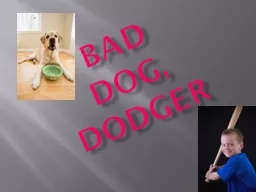 BAD DOG, DODGER  VOCABULARY