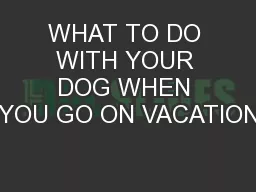 WHAT TO DO WITH YOUR DOG WHEN YOU GO ON VACATION