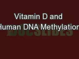 Vitamin D and Human DNA Methylation: