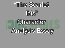 “The Scarlet Ibis” Character Analysis Essay