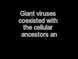 Giant viruses coexisted with the cellular ancestors an