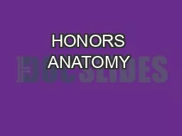 HONORS ANATOMY & PHYSIOLOGY