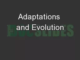 Adaptations and Evolution