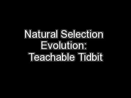 Natural Selection Evolution: Teachable Tidbit