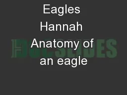 Eagles Hannah Anatomy of an eagle