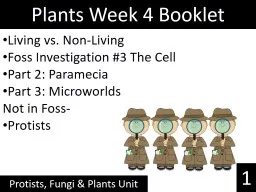 Plants Week 4 Booklet Protists