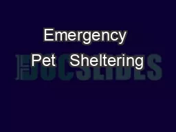 Emergency Pet   Sheltering