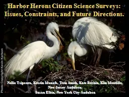 Harbor Herons Citizen Science Surveys: Issues, Constraints, and Future Directions.