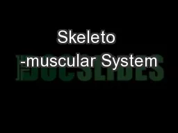 Skeleto -muscular System
