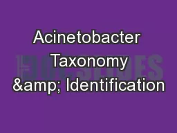 Acinetobacter  Taxonomy & Identification