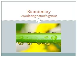 Biomimicry emulating nature’s genius