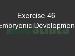 Exercise 46 Embryonic Development