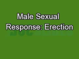 Male Sexual Response: Erection