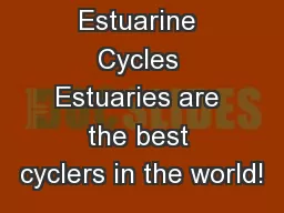 Estuarine Cycles Estuaries are the best cyclers in the world!