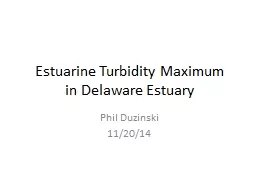 Estuarine Turbidity Maximum