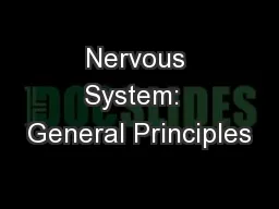 Nervous System:  General Principles
