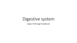 Digestive system Upper GI through Duodenum