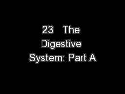 23   The Digestive System: Part A