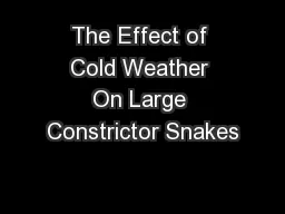 The Effect of Cold Weather On Large Constrictor Snakes