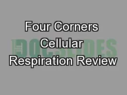 Four Corners Cellular Respiration Review