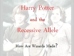 Harry Potter  and the   Recessive Allele