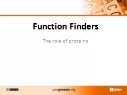 Function Finders The role of proteins