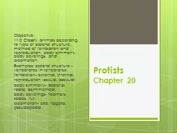 Protists Chapter 20 Objective: