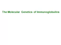 The Molecular Genetics of Immunoglobulins