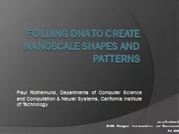 Folding DNA to create  nanoscale