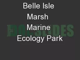 Belle Isle Marsh  Marine Ecology Park