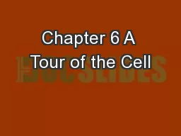 Chapter 6 A Tour of the Cell