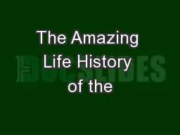 The Amazing Life History of the