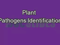 Plant Pathogens Identification