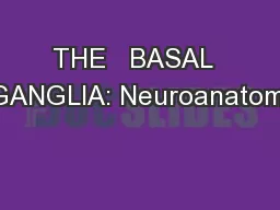 THE   BASAL   GANGLIA: Neuroanatomy