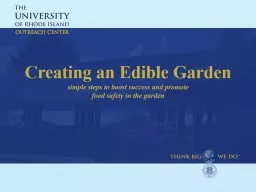 Creating an Edible Garden