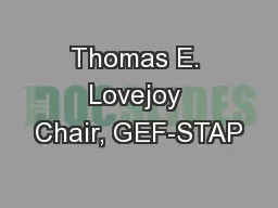 Thomas E. Lovejoy Chair, GEF-STAP