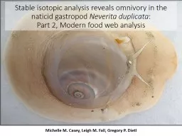 Stable isotopic analysis reveals omnivory in the naticid gastropod