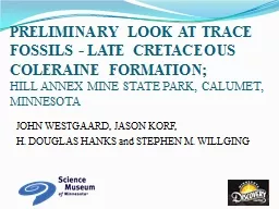 PRELIMINARY LOOK AT TRACE FOSSILS - LATE CRETACEOUS COLERAINE FORMATION;