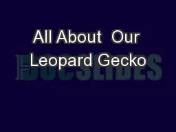 All About  Our Leopard Gecko