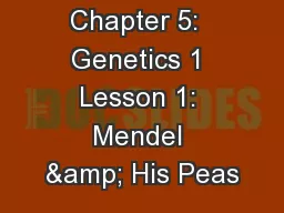 Chapter 5:  Genetics 1 Lesson 1: Mendel & His Peas